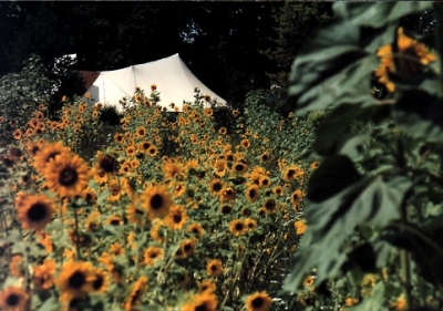 Camping 'L'Avelanède' en Var
