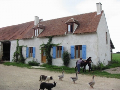Gîte de séjour 'Gite de la chaume au chat' en Cher