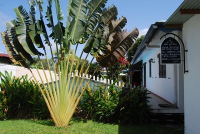 Gîte de séjour 'Gite comou en guyane' en Guyane