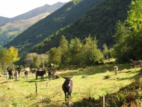Camping 'Camping Le Haut Salat***' à Seix