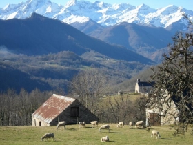 Camping 'Camping Le Haut Salat***' à Seix
