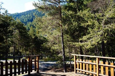 Camping 'Camping rioclar' en Alpes de Haute Provence