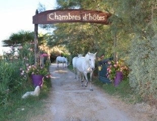 Chambre d'hôte 'Le mazet du maréchal ferrant' à Les saintes maries de la mer