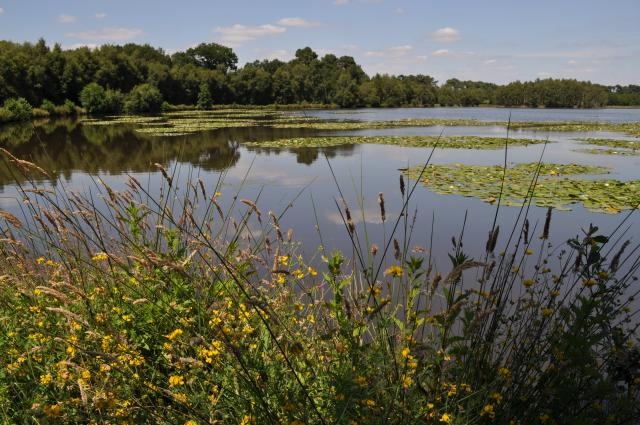 Camping 'Aire naturelle de camping de gruellau' à Treffieux