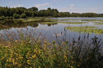 Camping 'Aire naturelle de camping de gruellau' en Pays de la Loire