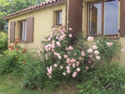 Camping 'Chez francis' à Loupiac