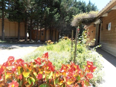 Camping 'Camping le matin calme' en Drome