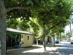 Mobil Home 'Les palmiers locations' à Carqueiranne