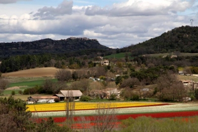 Gîte-Rural et Camping 'Les coccinelles 04700 lurs' en Alpes de Haute Provence