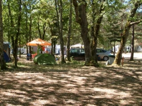 Camping 'Camping la forêt' à Pezuls