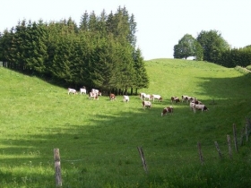 Gîte rural 'La rogerie' à Prenovel