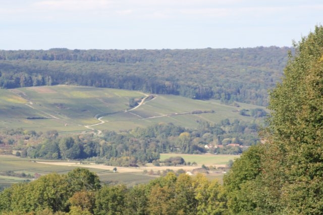 Gîte rural 'Gîte du champagne couvent fils' à Trélou sur marne