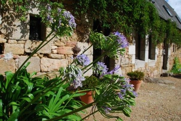 Maison / Villa 'Maison tout confort 6/7 personnes, jardin et cheminée, à port-blanc' à Penvénan