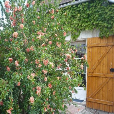 Chambre d'hôte 'Chambre d'hôtes et gîte anne-marie' en Indre