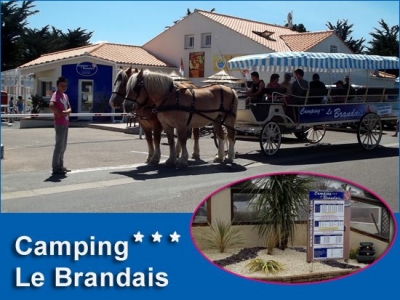 Camping 'Camping le brandais' à Brem sur mer