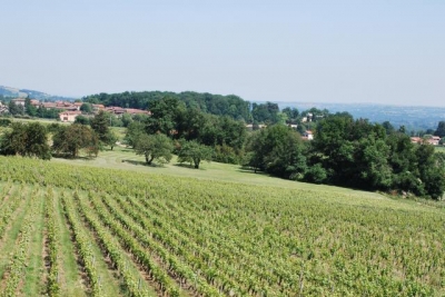 'Domaine mont saint jean' en Rhone