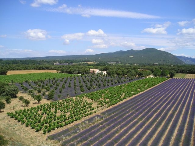 Gîte rural 'Gite de la pellegrine "les Frigoules"' à Montbrison sur lez