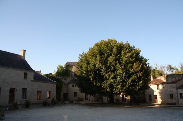 Gîte rural 'TROGLO'Gîte' à Louresse rochemenier